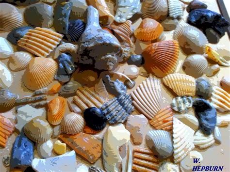 Variety In Photography Examples 48,447 Variety Photography Images,