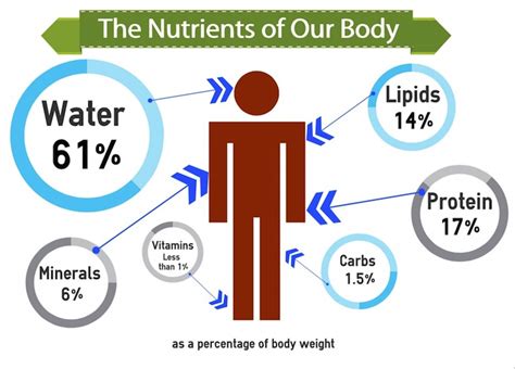 Leading Nutrition Data for Your Healthy Diet