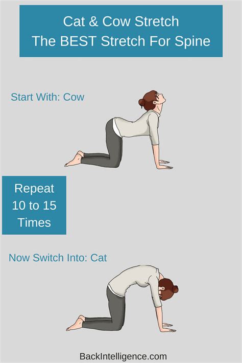 Cat Cow / Cat Cow Yoga Poses - CardioGolf / True form increases health, attack power and ...