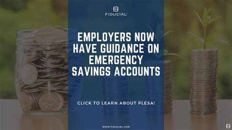 Employers Now Have Guidance on Emergency Savings Accounts (PLESA)