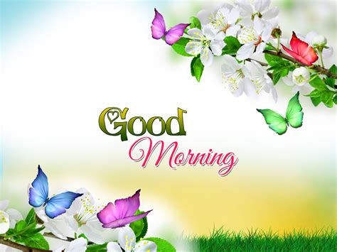 Good Morning HD Wallpapers - Top Free Good Morning HD Backgrounds ...