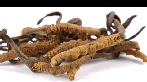 11 Foods For Men’s Health – Man-Health-Magazine-Online.com