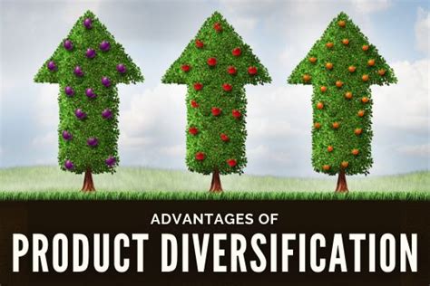 Unlocking Potential: The Advantages of Product Diversification
