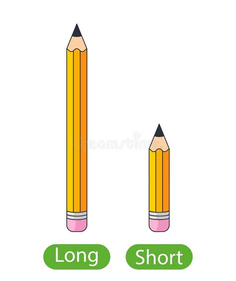 Short pencils stock vector. Illustration of objects, realistic - 13841694