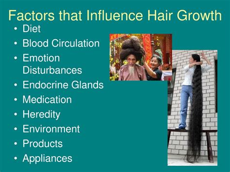 PPT - PROPERTIES OF THE HAIR AND SCALP PowerPoint Presentation, free download - ID:9715725