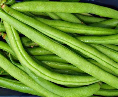 Mark's Veg Plot: Beans, beans and more beans