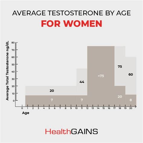 What is the average daily testosterone production rate in a healthy adult man?