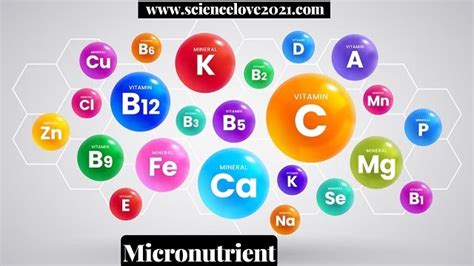 Micronutrient : Definition, Importance and Sources of Micronutrients ...