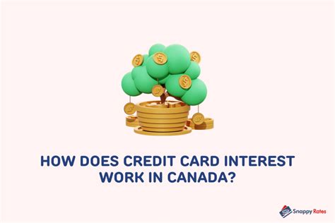 How Does Credit Card Interest Work in Canada? A Complete Guide
