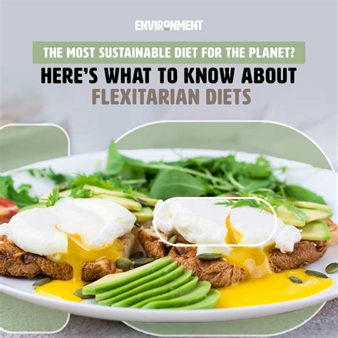 What Is A Sustainable Healthy Diet at Callum Winter-irving blog