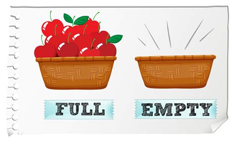 Opposite adjective full and empty 302923 Vector Art at Vecteezy