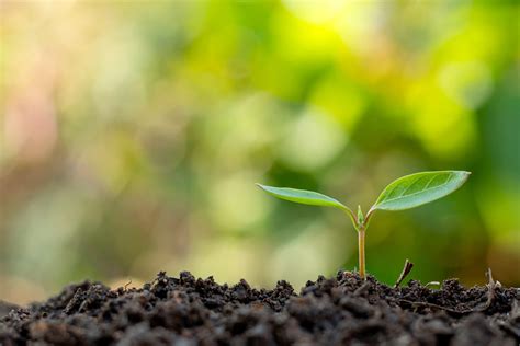 What to Do When You Feel Small