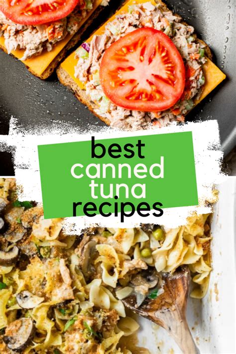 13 Best Canned Tuna Recipes | Easy Lunch or Dinner Ideas