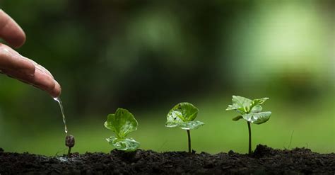 grow - PowerSites