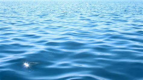 Fresh water and electricity out of the blue | Research | Chemistry World