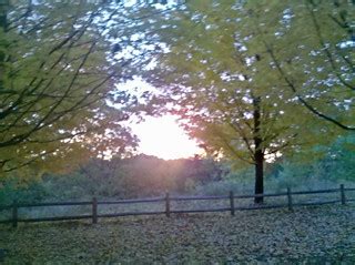 Fall Sunrise In High Park | This picture was taken by my pho… | Flickr