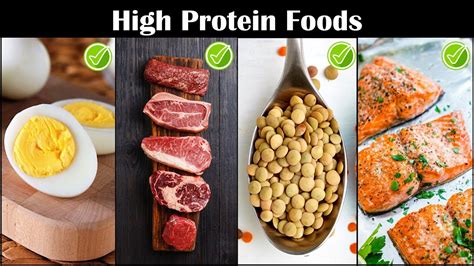 Highest Protein Foods |Foods Rich In Protein |Best Protein Rich Foods ...