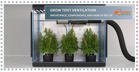 Grow Tent Ventilation: Importance, Components, and How to Set Up - Crops Review