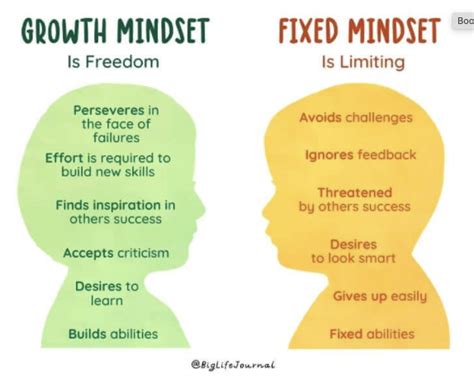 Growth vs. Fixed Mindset — BIO Girls