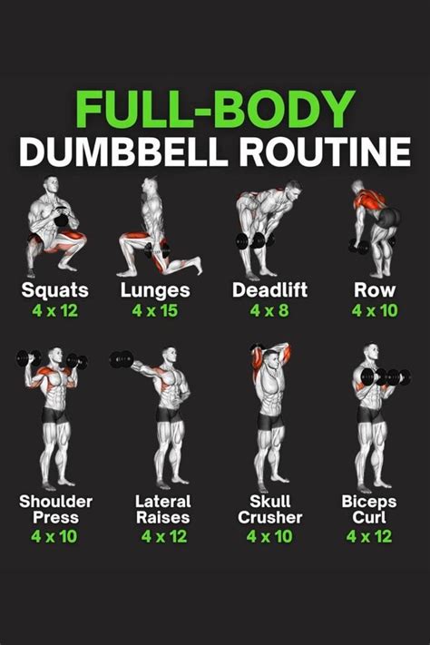 Full body dumbbell workout – Artofit
