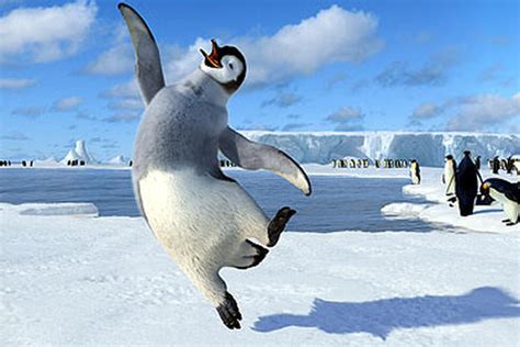 Happy Feet (2006) Movie Photos and Stills - Fandango