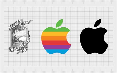 Simple daily habits for men to reduce gut fat and boost energy?