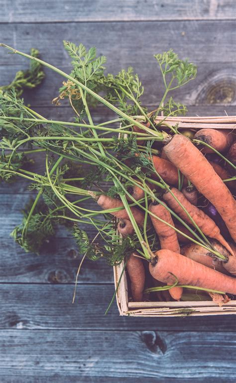 How to Meal Prep And Healthy Meal Prep Ideas to Get You Started