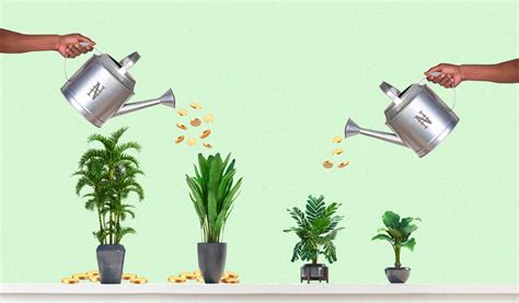 Will venture debt work for your startup?