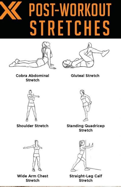 Post workout stretches – Artofit