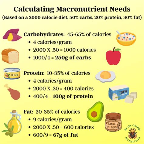 Beyond total daily calorie and macronutrient intake, what specific impact does the *frequency* of a man’s meals and snacks have on his hormonal balance and sustained energy levels throughout the day?