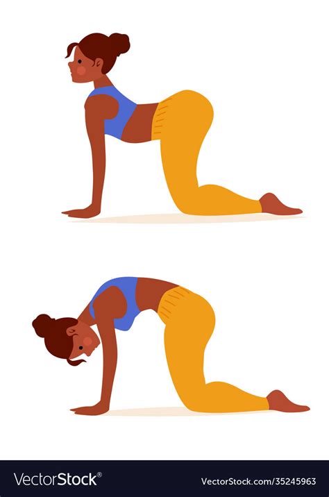 Woman in yoga cat cow pose two steps to stretch Vector Image