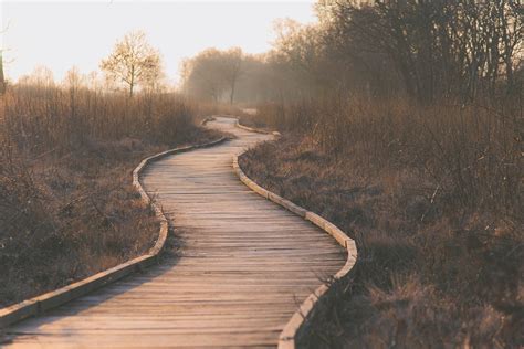 20,000+ Free Bold Path & Path Images - Pixabay