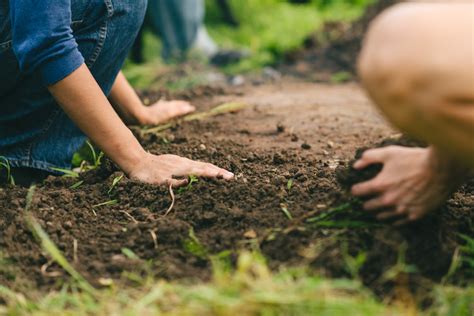 How to cultivate the iron mindset for consistent fitness & financial discipline?