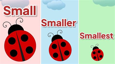 Small Smaller Smallest || Compare Sizes || Kindergarten Lessons || Math ...