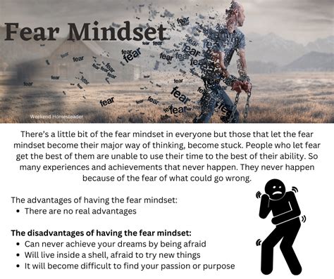 What Is Your Mindset? ~ Weekend Homesteader