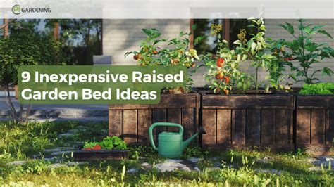 Cheap Raised Bed Mix at Sam Guerrero blog