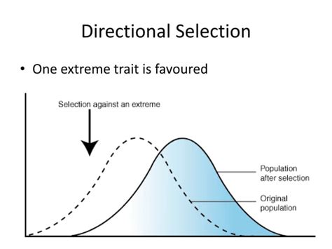 Types of selection