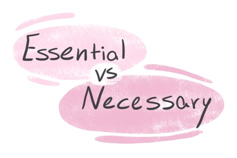 Essential space-saving home gym gear for men’s maximum muscle gain?