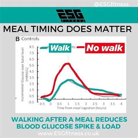 MEAL TIMING DOES MATTER(or you could argue activity timing) How active we are around meals ...