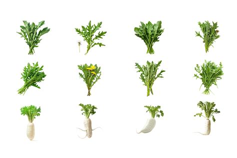 Colorful Fruits and Vegetables Graphic by Creative_View · Creative Fabrica