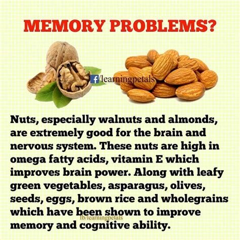 Nuts And Seeds Benefits Brain at Nancy Hutchinson blog