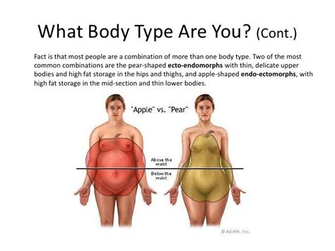 Male Female Body Comparison