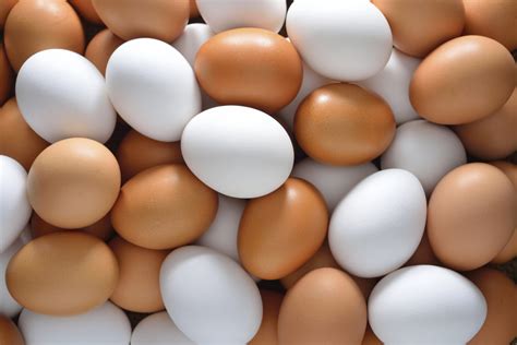 How to Choose Eggs: Understanding Egg Labels - The Dolce Diet