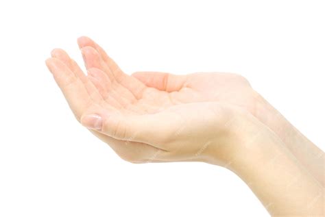 Premium Photo | Hand