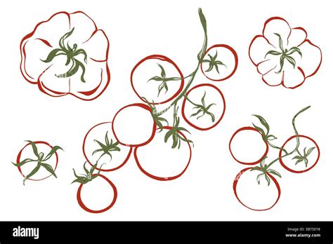 Fresh tomato organic ketchup Stock Vector Images - Alamy