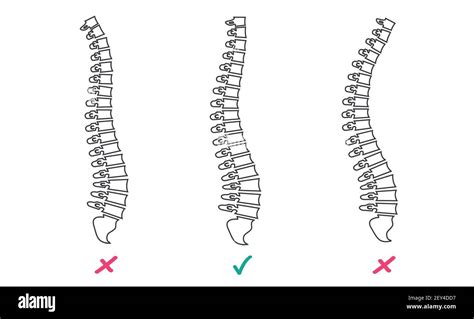 Patient virtual Cut Out Stock Images & Pictures - Alamy