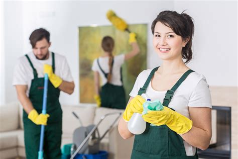 Cleaning & Maid Service - South Suburbs & Naperville Opportunity | Maid ...