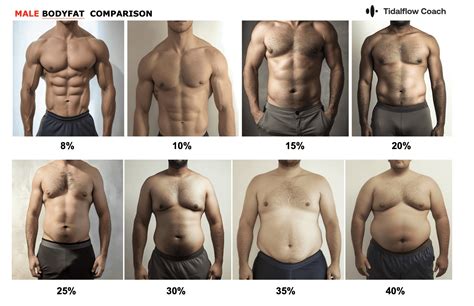 What is the average healthy body fat percentage range for adult men, and how does it typically differ from that of adult women?