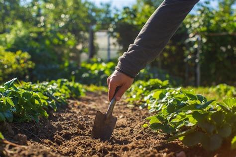 How to cultivate the mindset for consistent action in fitness & finance?