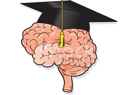 Smart Brain Stock Photo – Royalty-Free Images | FreeImages